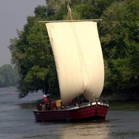 Les Orkys De Loire Hotel Chalonnes-sur-Loire Kültér fotó