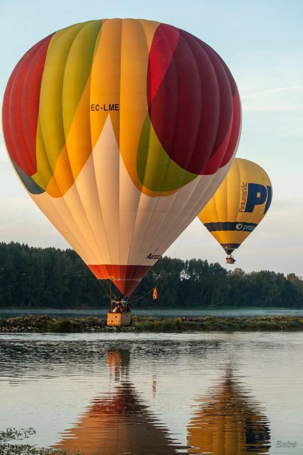 Les Orkys De Loire Hotel Chalonnes-sur-Loire Kültér fotó